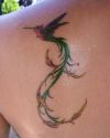 Hummingbird tattoos designs gallery
